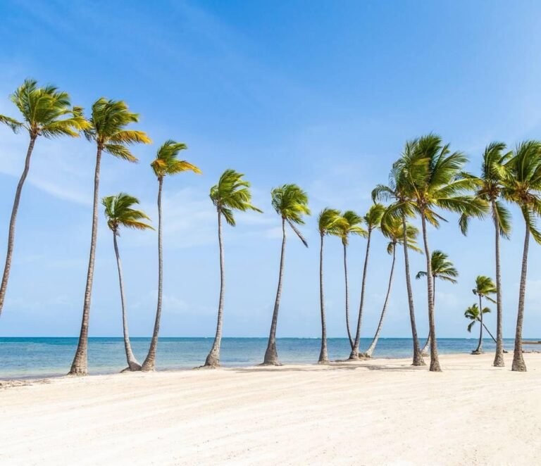 WhatsApp Image 2025-08-26 at 7.40.37 PM-4